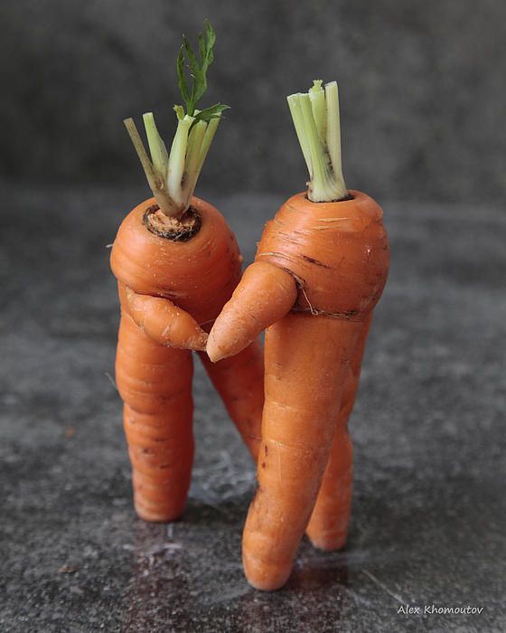 carrots standing up and dancing