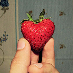 heart-shaped strawberry